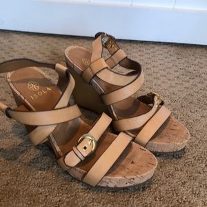 Isola wedges